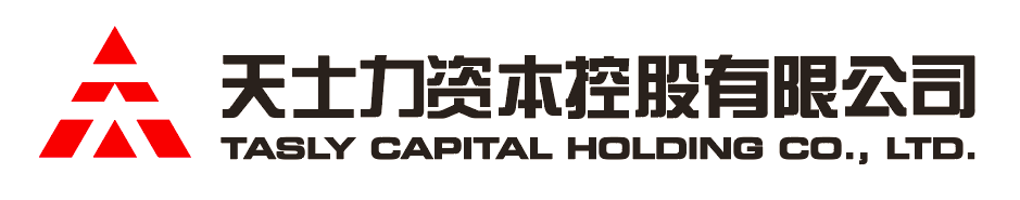 BG电子资本控股有限公司